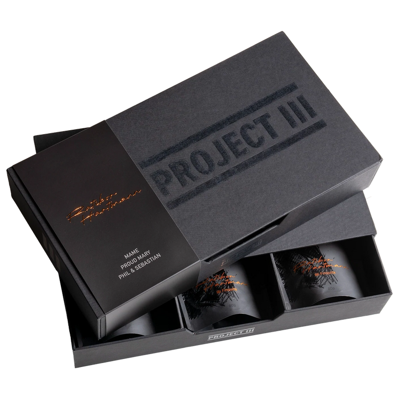Project III